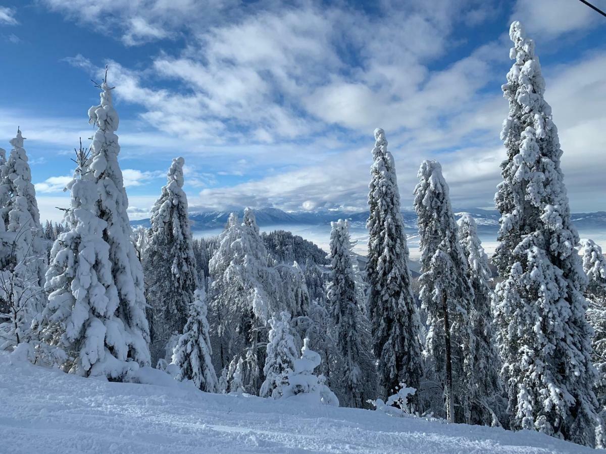 Silver Mountain * Poiana Brasov
