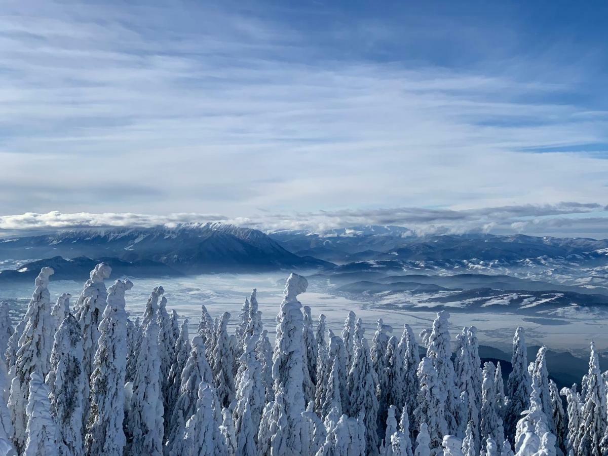 Silver Mountain