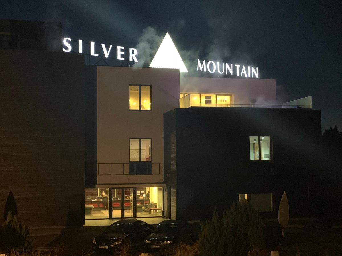 Apartment Silver Mountain